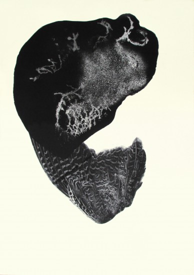 Naturelat II | akwatinta, akwatinta zatapiana w werniks, przedruk | 66x96cm